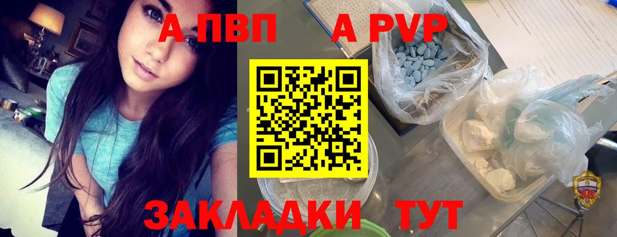 A PVP СК КРИС Светлоград