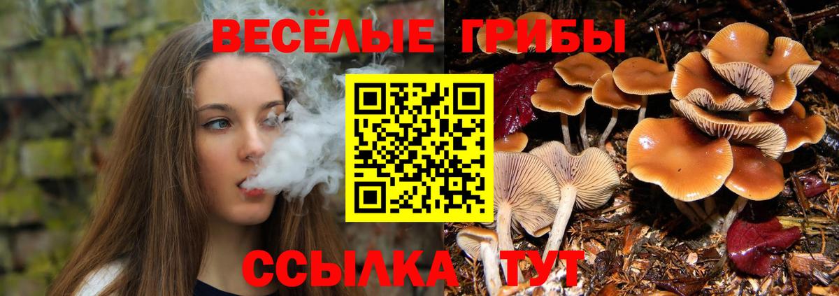 Псилоцибиновые грибы ЛСД Светлоград