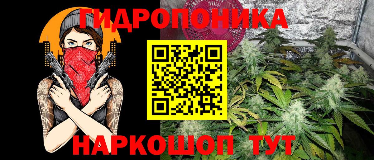 Марихуана конопля Светлоград